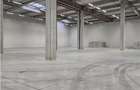 Spatiu Industrial - 5300 mp - Logistica - Productie - Depozitare - Distributie - 23