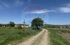 Teren de vanzare 8.700 mp în Livada comuna Iclod - 7