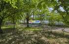 Exclusive property ON THE SHORE OF LAKE TEI - TEI PENINSULA - 4