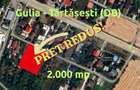 Ocazie! Teren Gulia-Tărtășești | 2.000 mp | Deschidere 40m | Utilități - 1