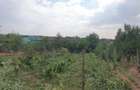 Teren 1100mp la 30 km de Bucuresti - 10