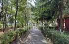 Apartament 3 camere decomandat Zorilor cu parcare - 9