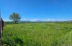 BRASOV - HARMAN - TEREN CONSTRUCTII 1062 MP TOTAL - 2