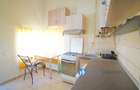 Inchiriere apartament 2 camere in vila Unirii - 10