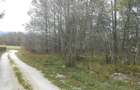 Teren intravilan - 2.740 mp, Predelut - 5