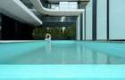 Apartament High End 2 Camere | Piscina Exterioara | Mobilat Utilat | - 5