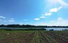 MEGA OCAZIE SE VINDE TEREN 10.600 DE METRI LA PRET DE 6.600 CU DESCHIDRE LA LAC - 2