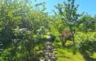 RARA AVIS! Teren 1550 mp, deschidere 31 m, zona Ferme, Otopeni - 7