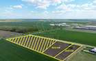 COM 0% Teren industrial pentru hale, servicii | DN69 Sanandrei - 1
