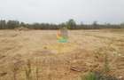 Teren in Rate! 441 mp, gaz si curent, acces DJ401 - Vidra - 1