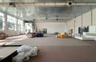 Showroom zona Carrefour Felicia Iasi, de la 107mp la 2000mp, Kaufland - 13