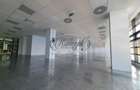 Spatiu birouri clasa A, zona Grigorescu - 18
