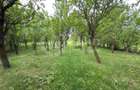 Teren intravilan cu casa renovabila | 2500mp teren | Front 21m | Aiton - 1