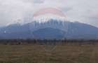 Teren 10,000mp Rasnov / Drumul Panicel - 7