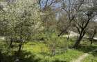 Casă  de vânzare în zona Câmpulung înconjurată de natura - 18