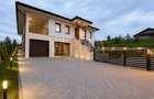 Casa 4 camere de vanzare in Salicea - 10