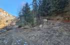 Teren de vânzare – 2.977 mp, intravilan, Scărișoara - 6