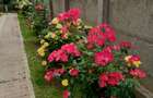 MAGURELE, Vila an 2012 S+P+E+M, Sutila 315mp, garaj, foisor, centrala proprie - 14