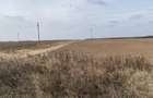 Teren extravilan 5000mp, Malu Mare, 0 comision la cumparator - 1