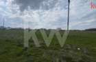 TEREN INTRAVILAN 1000 MP CARCEA - ZONA HANUL CU PONEI - 5