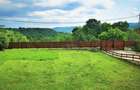 Manuel recomanda : Vila superba in Cornu de Jos 295mp , teren 1360mp - 14
