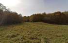 Teren in Sohodol-Bran - 1