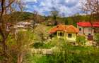 Provita de Sus, Prahova, Casa renovata, Comision 0 % - 33