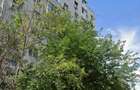 Apartament 3 camere de vânzare | Dristor | 70 mp | 2 grupuri sanitare - 6