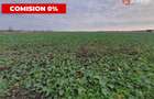 Comision 0% Teren extravilan agricol 21,32 ha sau intravilan cu PUZ aprobat - 9