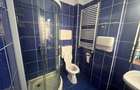 Domenii - 6 rooms villa for rent - 17