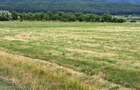 Oportunitate-Teren Extravilan 6200 mp cu vedere Panoramica-Tropinii Noi-Rasinari - 9