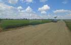 Teren intravilan 6,600mp Dumbraveni / Strada Principala spre Veresti