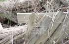 Teren Intravilan Cuied 3260 mp Comision Zero % - 3