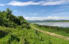 Teren extravilan 3200mp lac Sacel - 9