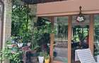 CASA P + M  1 GARSONIERA SI TEREN DE VANZARE IN TARGU OCNA - 6