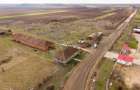 Fermă cu teren intravilan de 35000 mp în Mișca - 24