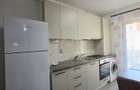 Apartament 2 camere, 60mp, garaj subteran, AC, 2 balcoane, zona Iulius Mall - 13