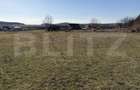 Teren intravilan in localitatea Hereclean in suprafata de 5800 mp - 2