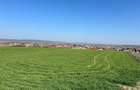 RECO Teren extravilan, zona Cheriu, 5375 mp, utilitati in zona, cu posibilitate - 4