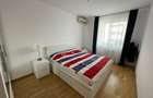 Apartament 2 Camere,Berceni,Monaco Towers,bl.2009,Amenajat,centrala,2 terase - 9
