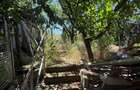 Casa P+1, 80 mp utili, zona Pielesti - 7