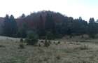 Teren 1810  mp – Zona Brebina, Zărnești . - 5