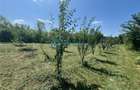 Royal Imobiliare-Vanzare Vila Zona Romanesti - 28
