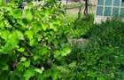 Casă de vânzare în  orașul Râmnicu Sărat, Județ Buzău - 4
