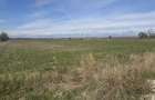Teren Intravilan com. Ratesti - 2