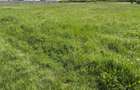 Teren 1239 mp front 29 in Aradul nou - 9
