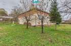 CONAC IMPRESIONANT ÎN GHIOROC