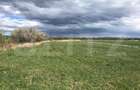 De vanzare teren extravilan 50.000 mp - 2