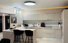 Penthouse Ultracentral | 3 camere | Jacuzzi | Terasă | Palas Mall - 1