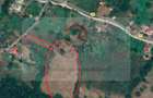 Teren extravilan de vânzare 11.740 mp Corbeni Turburea Argeș - 2